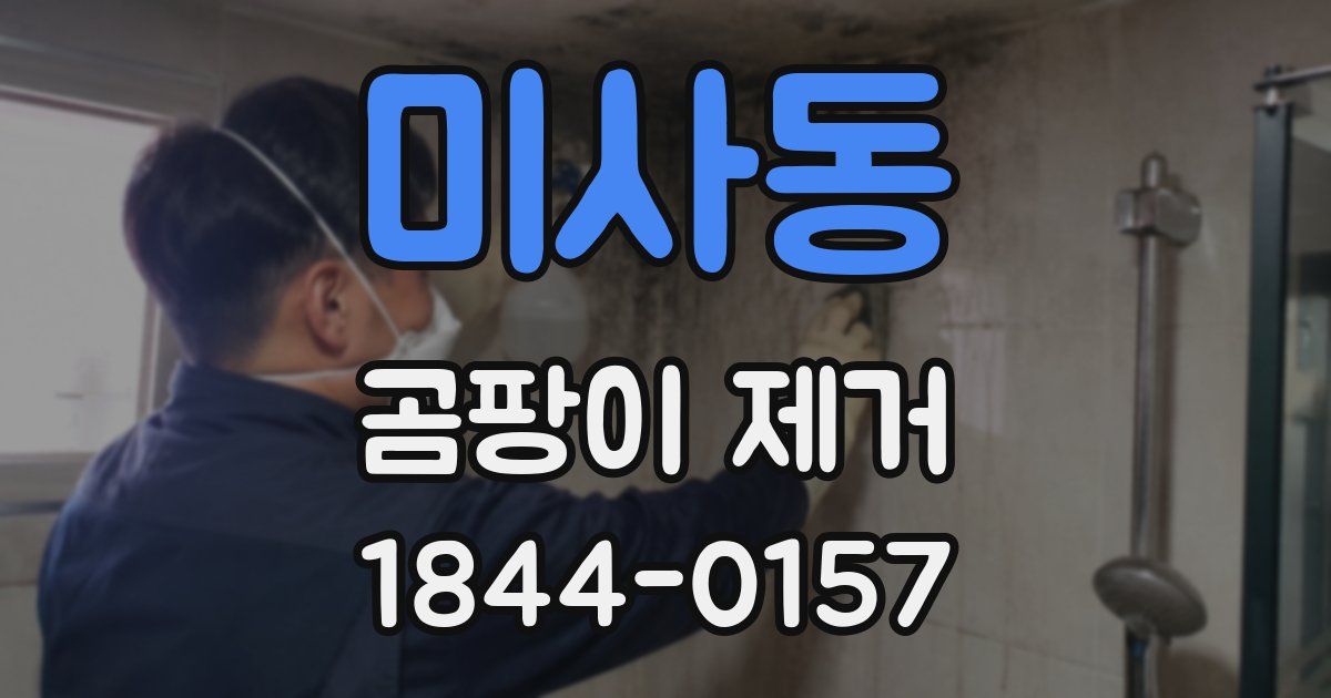 미사동 곰팡이 제거