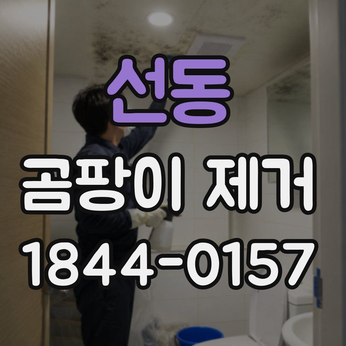 선동 곰팡이 제거
