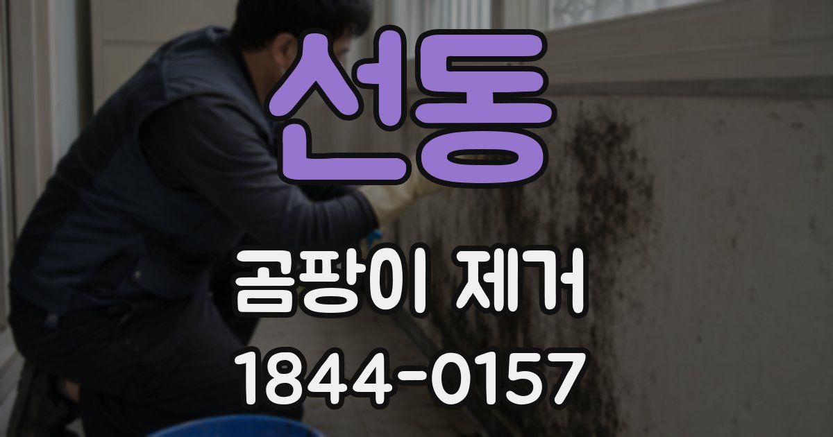 선동 곰팡이 제거