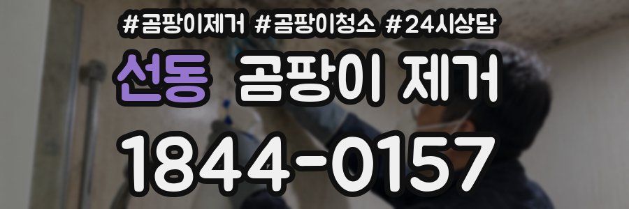선동 곰팡이 제거