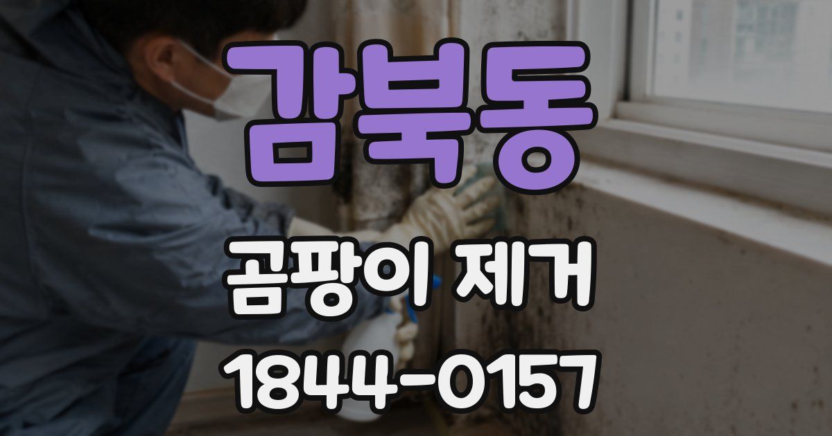 감북동 곰팡이 제거