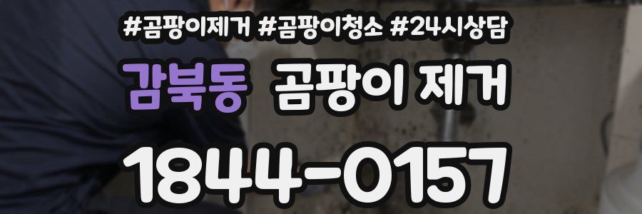 감북동 곰팡이 제거