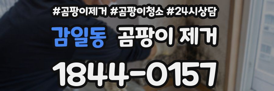 감일동 곰팡이 제거