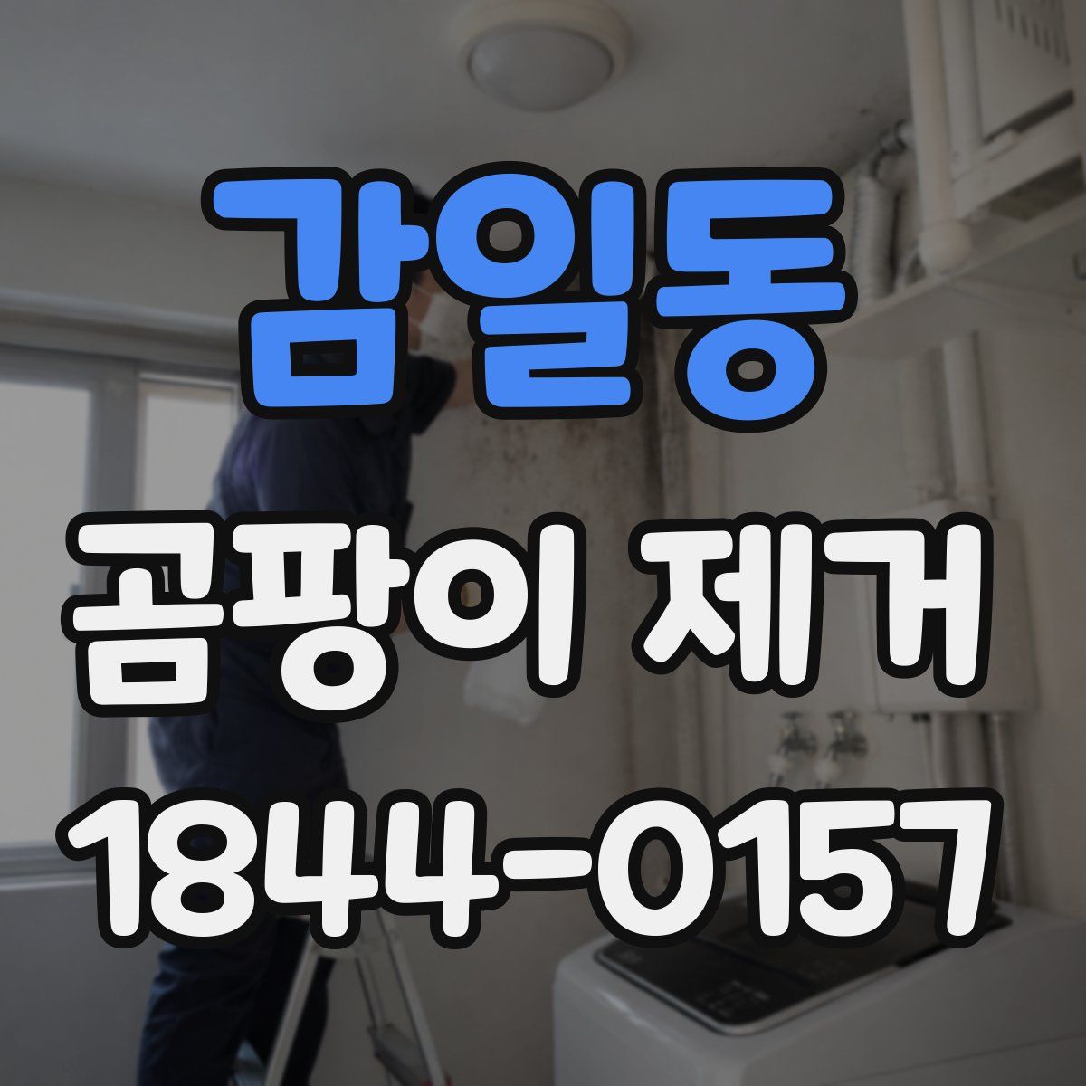 감일동 곰팡이 제거