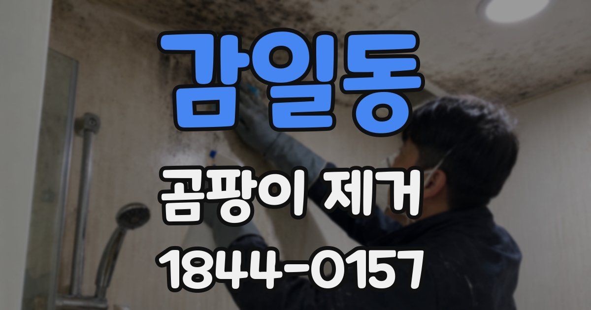 감일동 곰팡이 제거