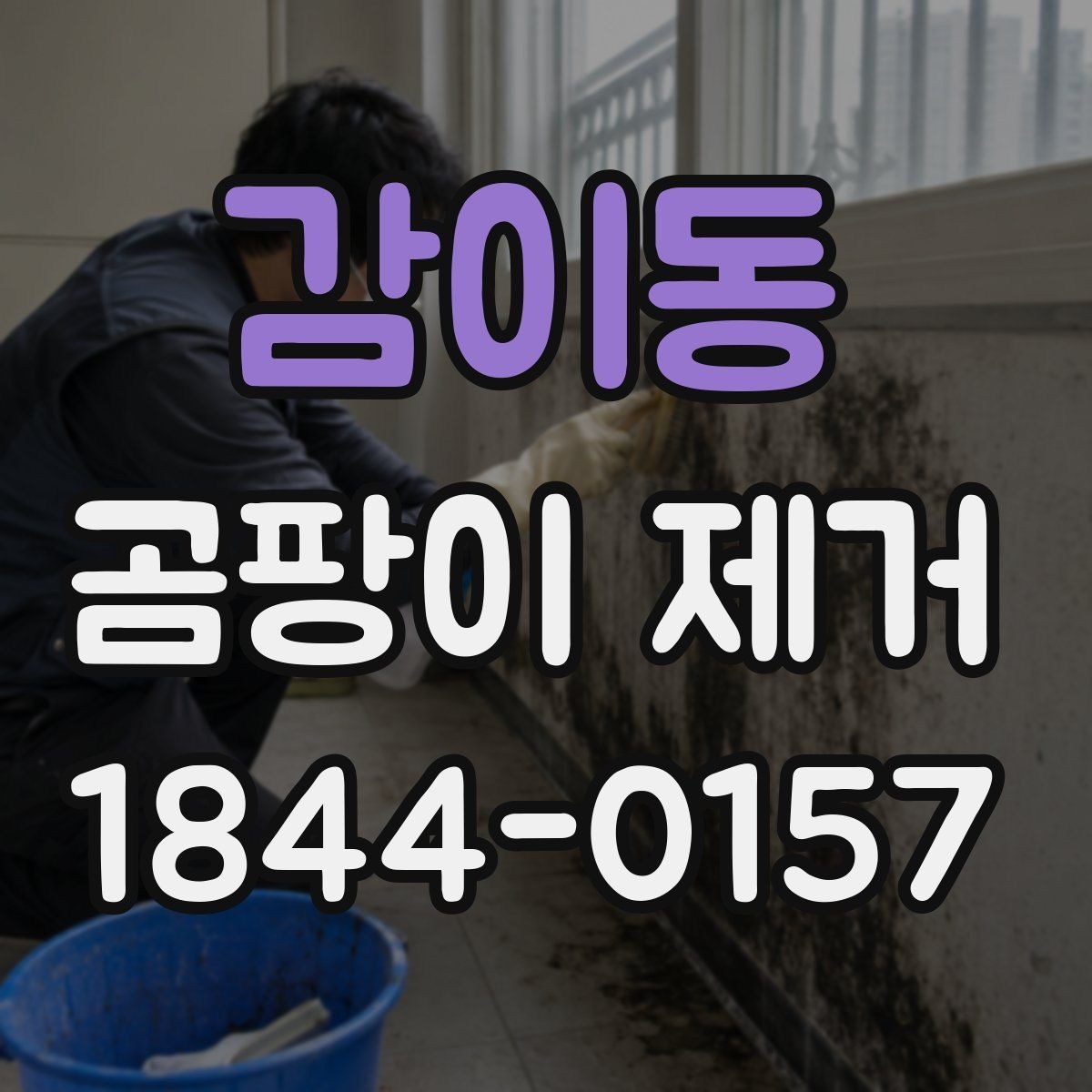감이동 곰팡이 제거 가전·에어컨 점검부터 확인하는 순서