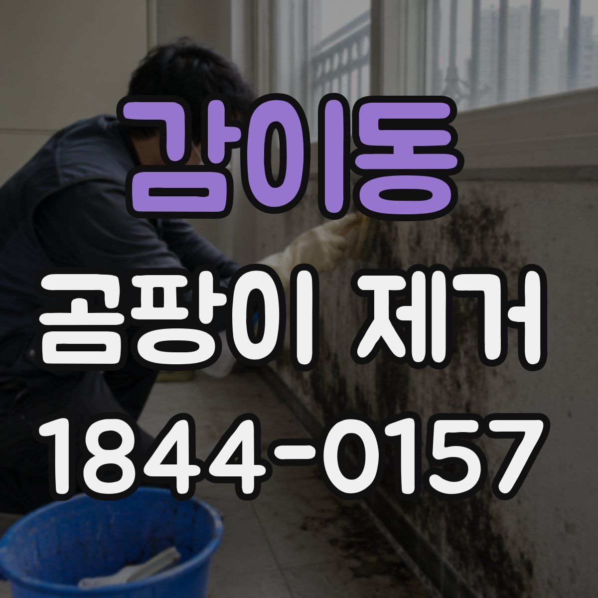 감이동 곰팡이 제거