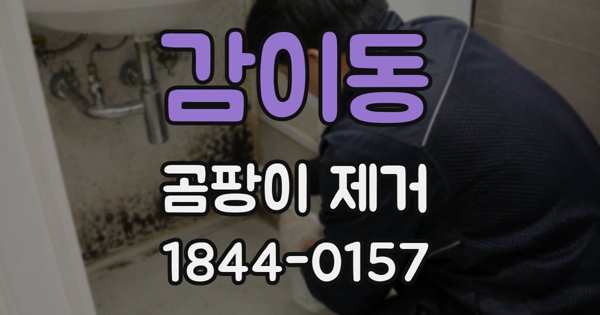 감이동 곰팡이 제거