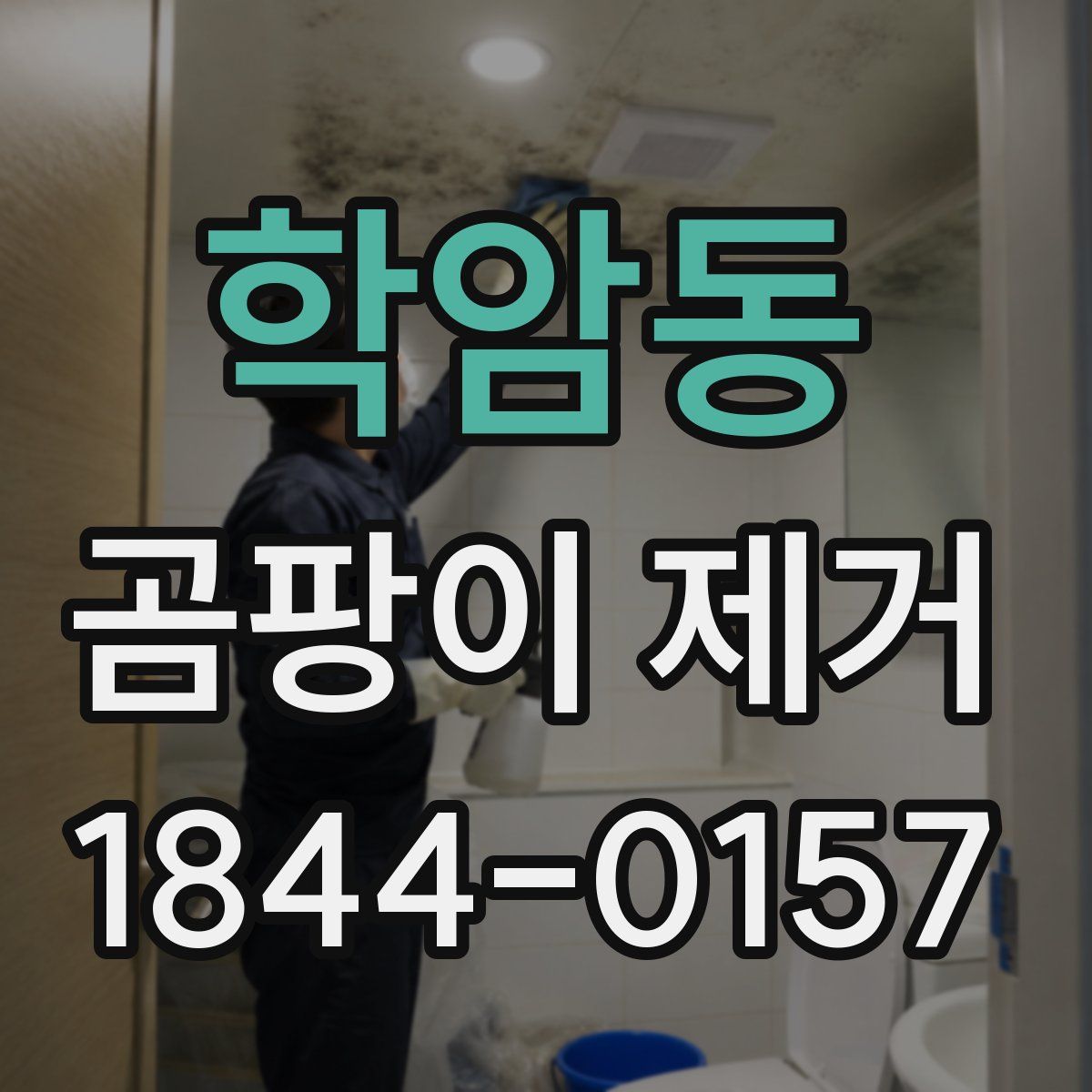 학암동 곰팡이 제거