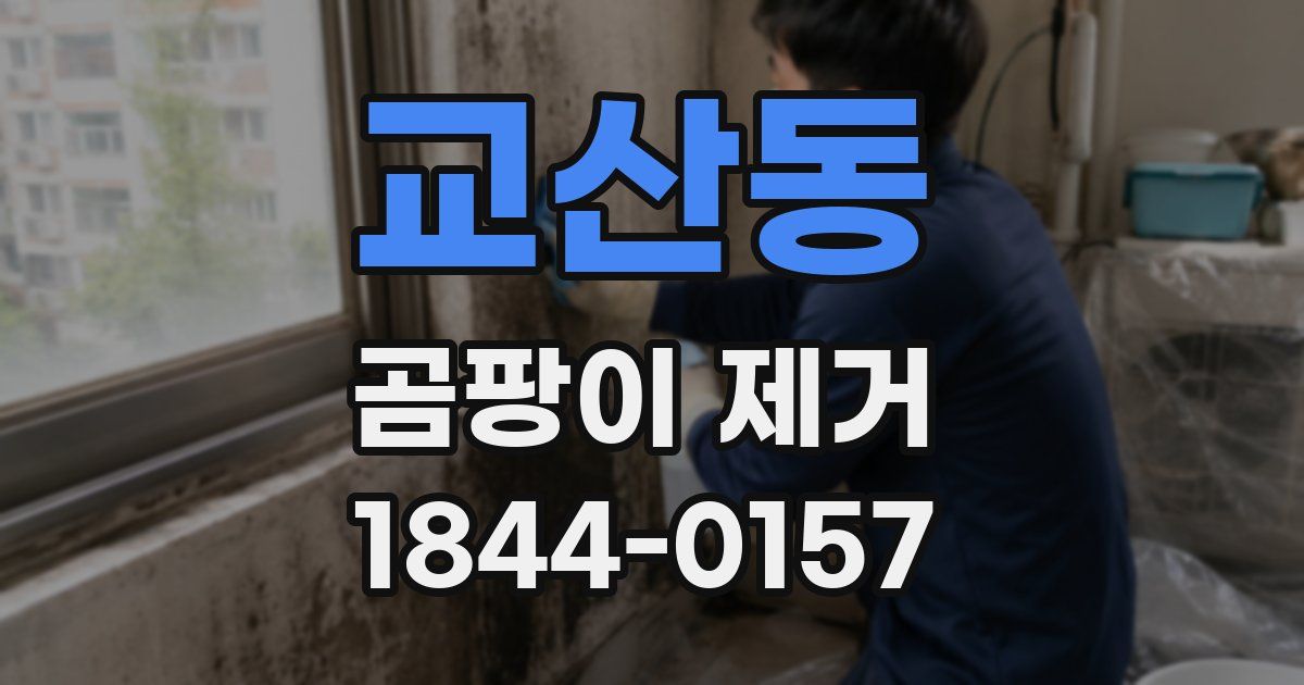 교산동 곰팡이 제거