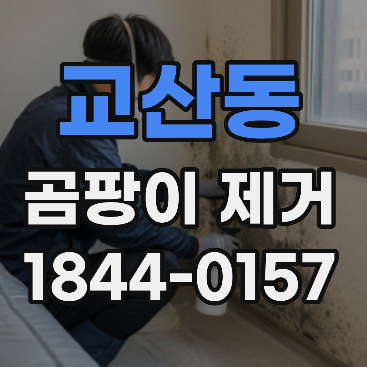 교산동 곰팡이 제거