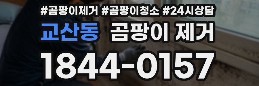 교산동 곰팡이 제거