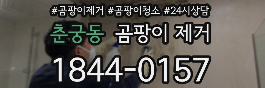 춘궁동 곰팡이 제거