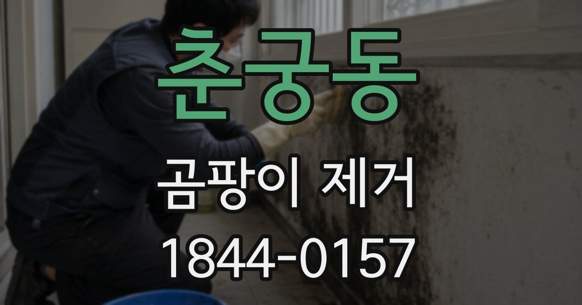 춘궁동 곰팡이 제거
