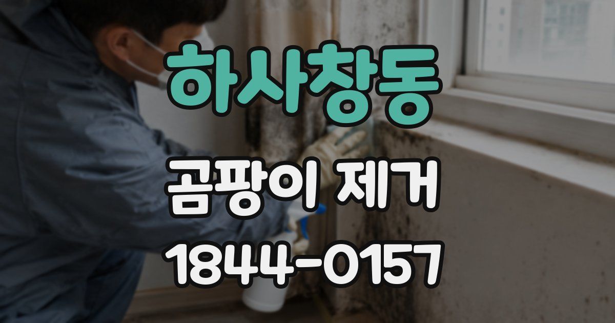 하사창동 곰팡이 제거