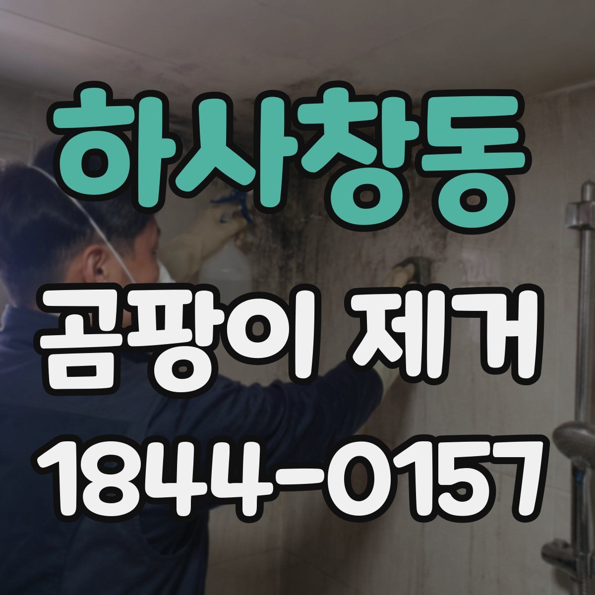 하사창동 곰팡이 제거