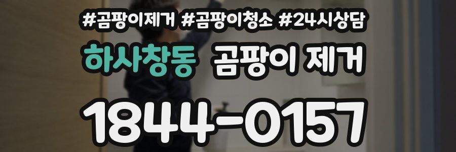 하사창동 곰팡이 제거