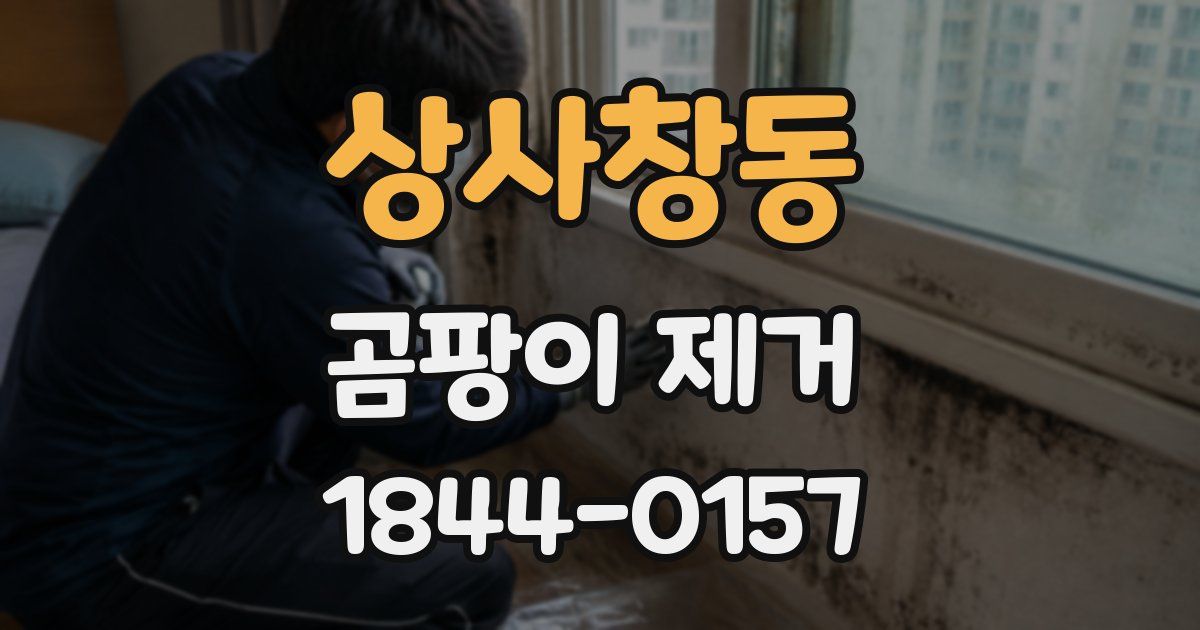 상사창동 곰팡이 제거