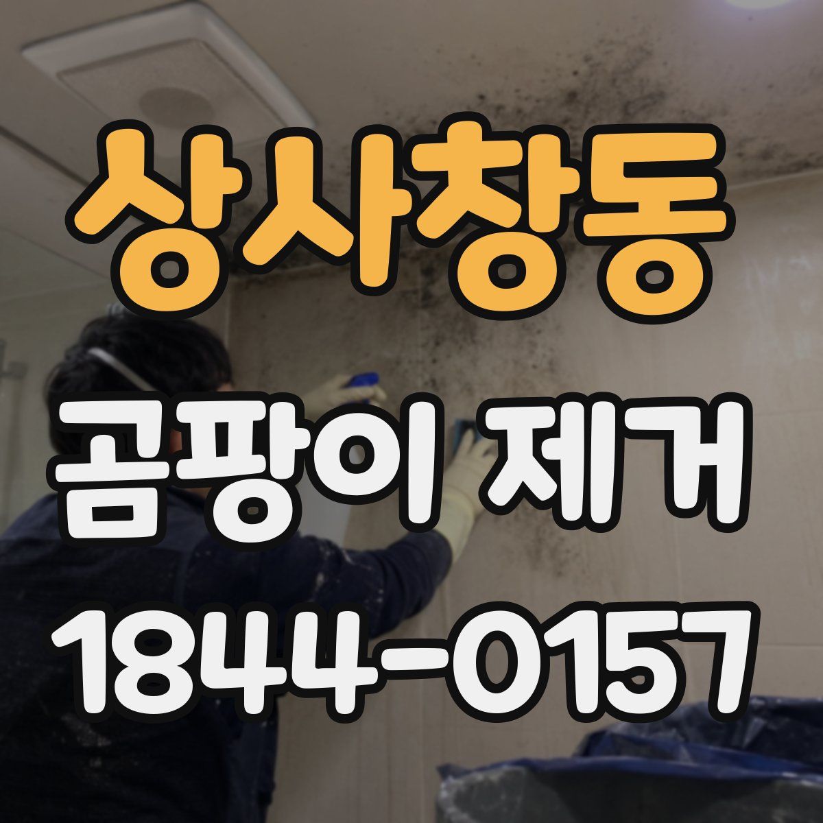 상사창동 곰팡이 제거