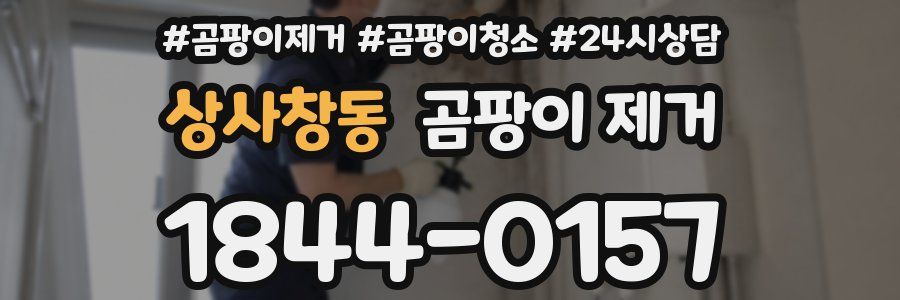 상사창동 곰팡이 제거