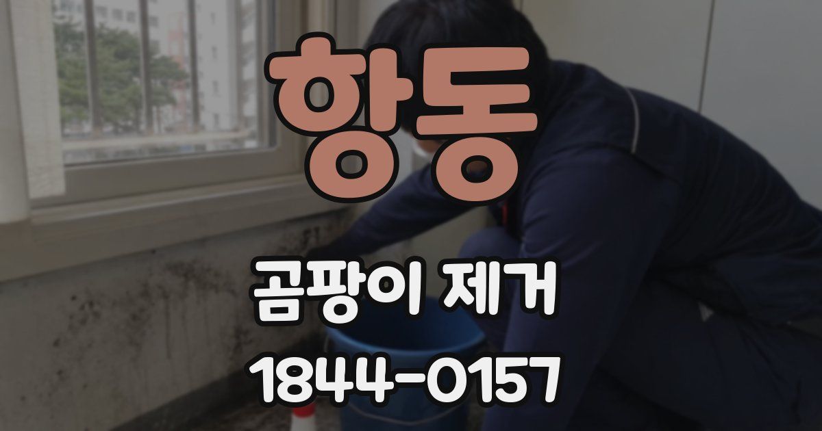 항동 곰팡이 제거