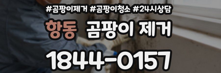 항동 곰팡이 제거