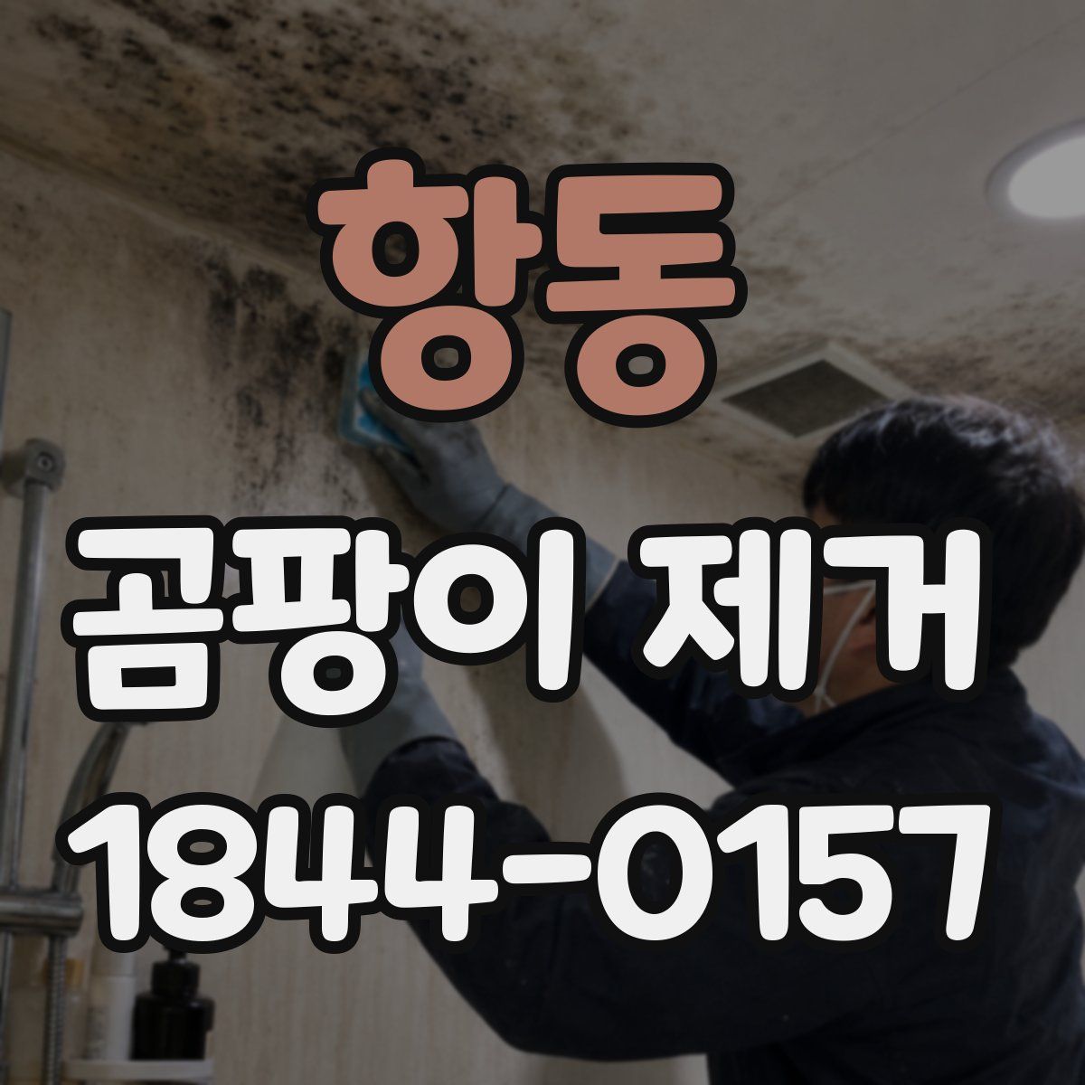 항동 곰팡이 제거