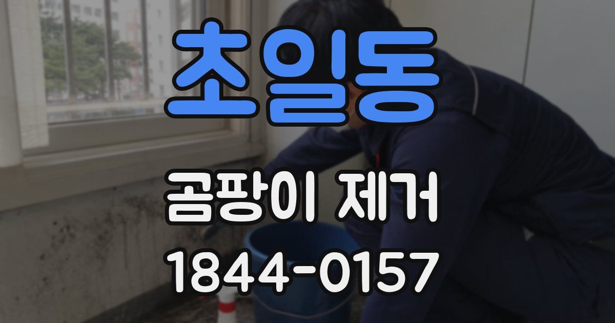 초일동 곰팡이 제거