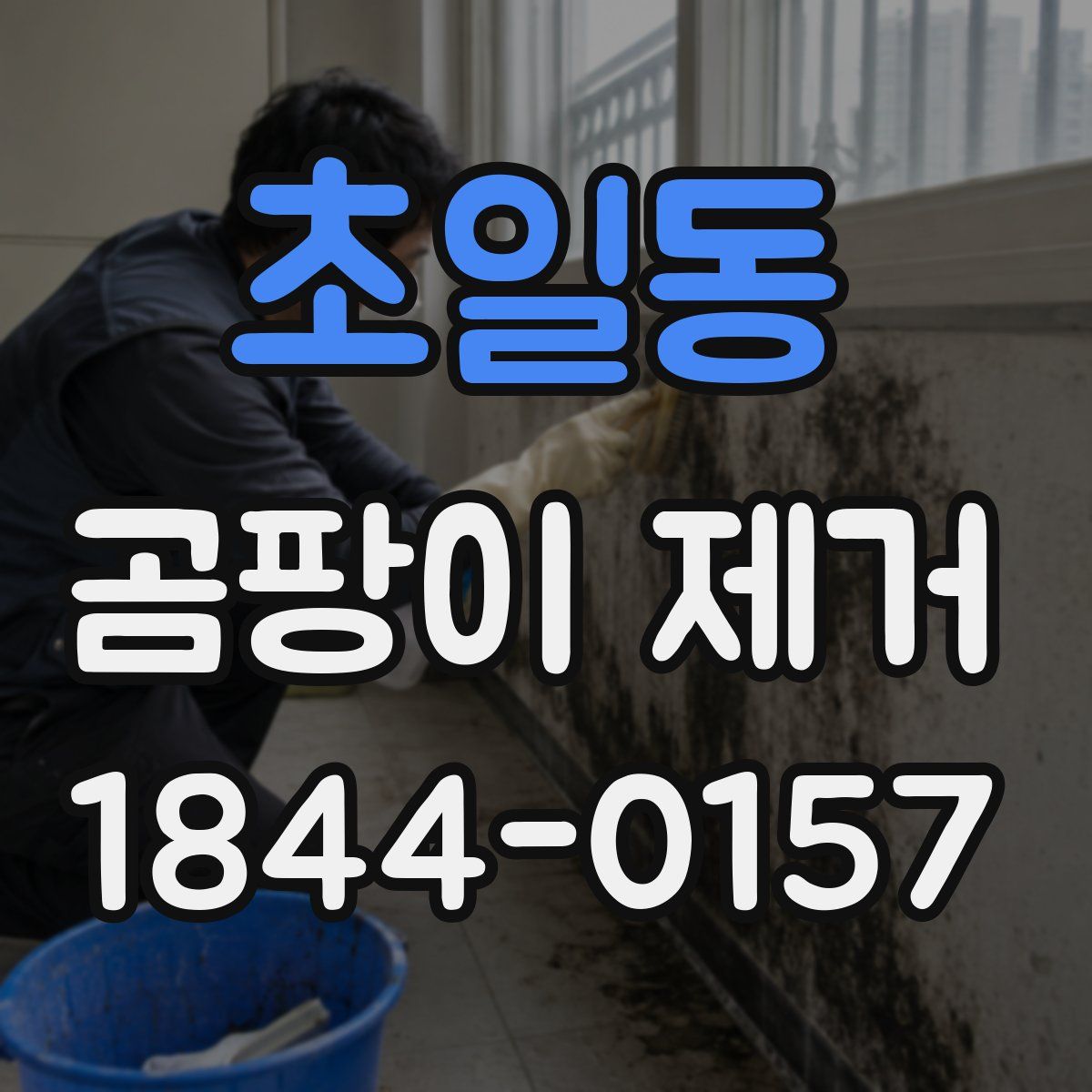 초일동 곰팡이 제거