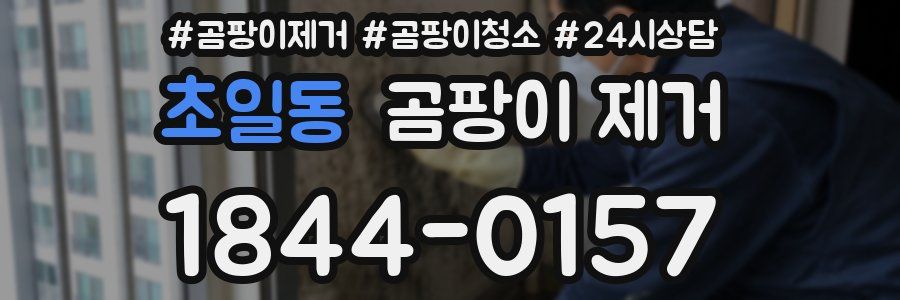 초일동 곰팡이 제거