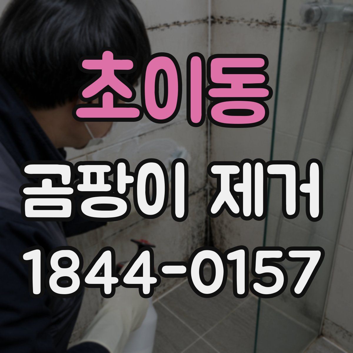 초이동 곰팡이 제거