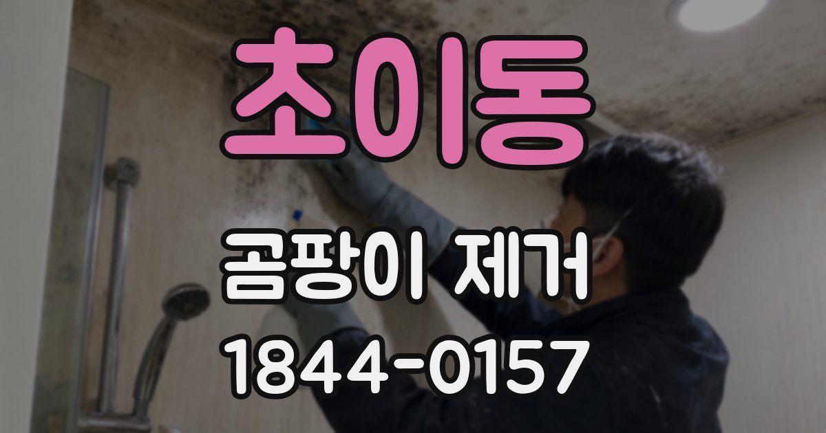 초이동 곰팡이 제거