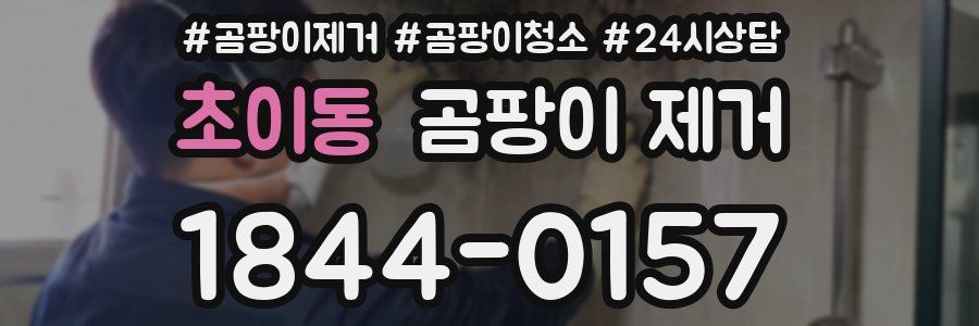 초이동 곰팡이 제거