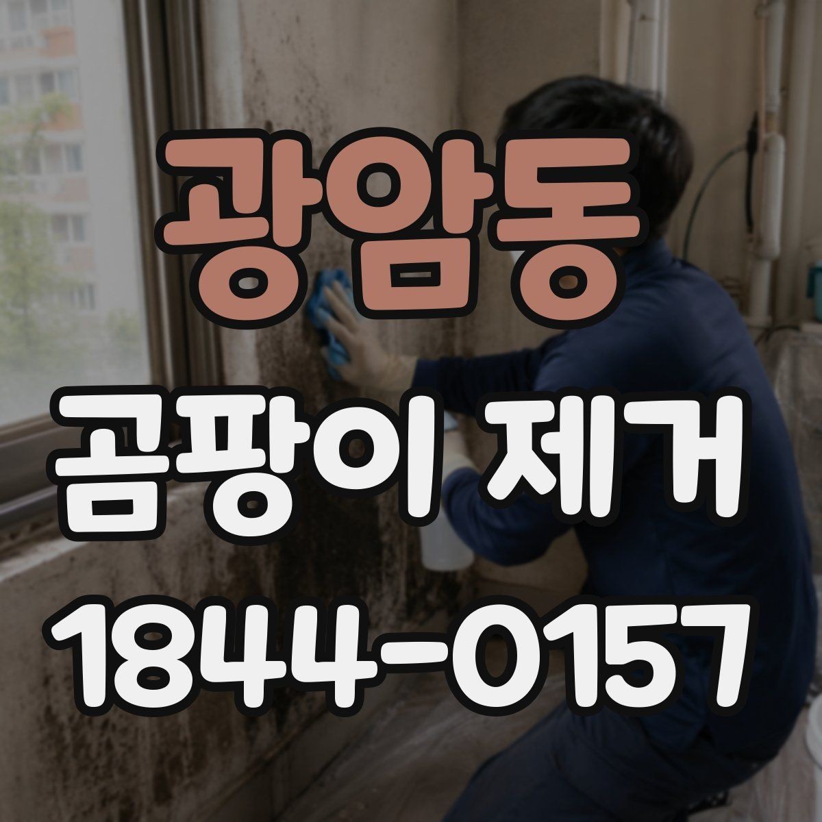 광암동 곰팡이 제거 욕실 환기 뒤 세척까지 이어지는 흐름