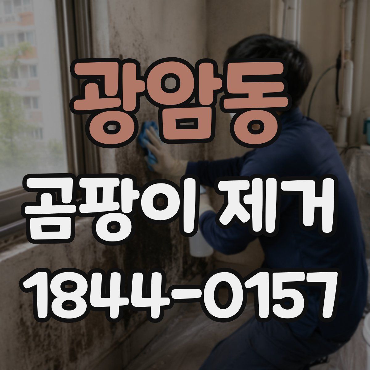 광암동 곰팡이 제거