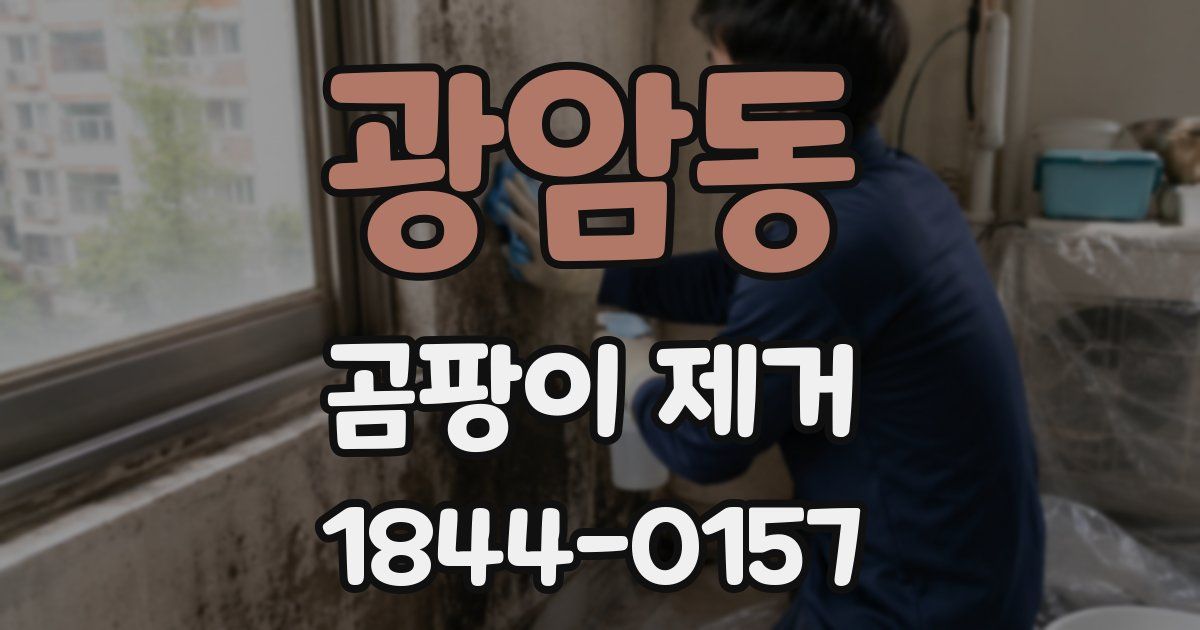 광암동 곰팡이 제거