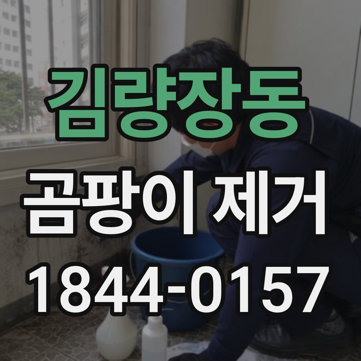 김량장동 곰팡이 제거