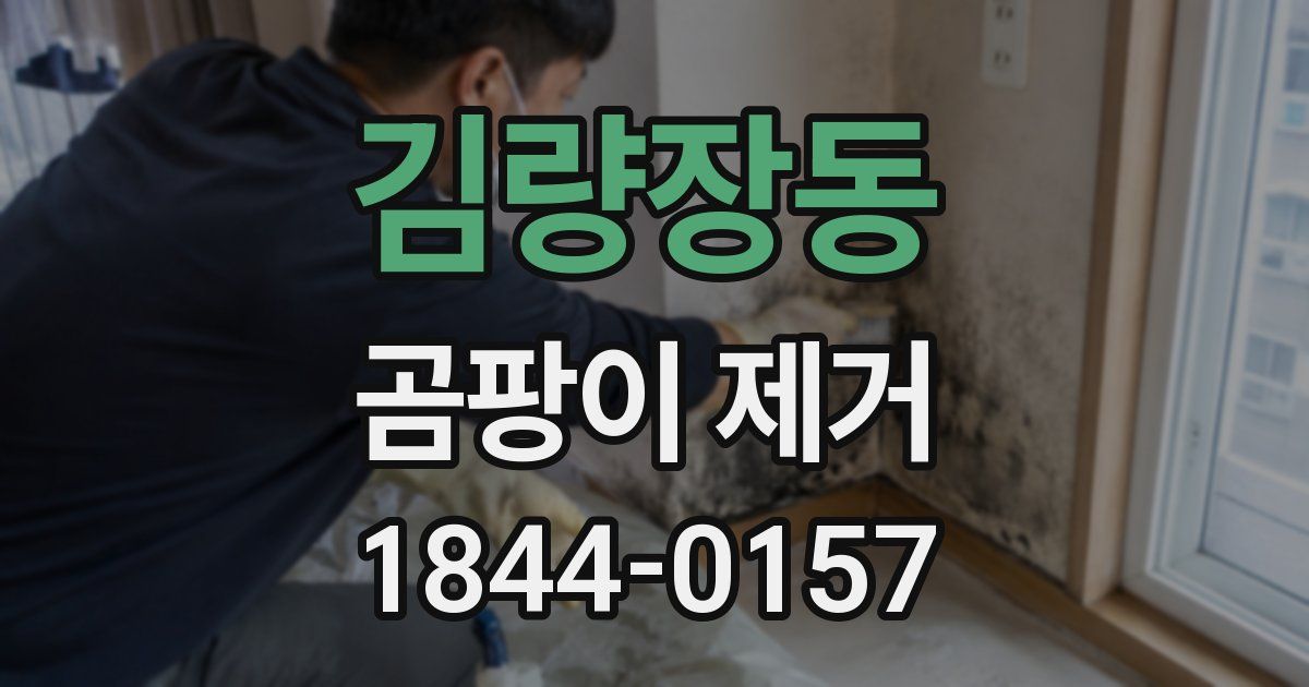 김량장동 곰팡이 제거