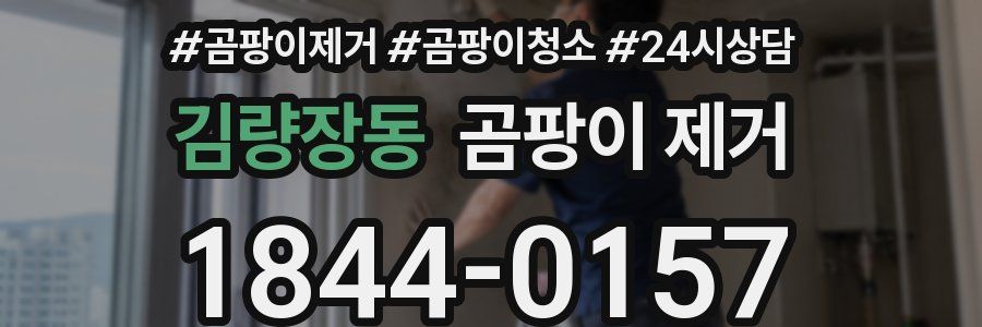 김량장동 곰팡이 제거