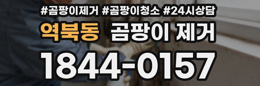 역북동 곰팡이 제거