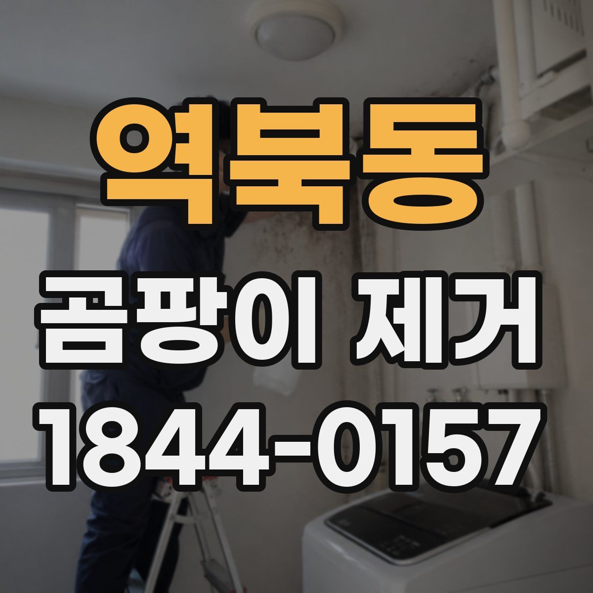 역북동 곰팡이 제거