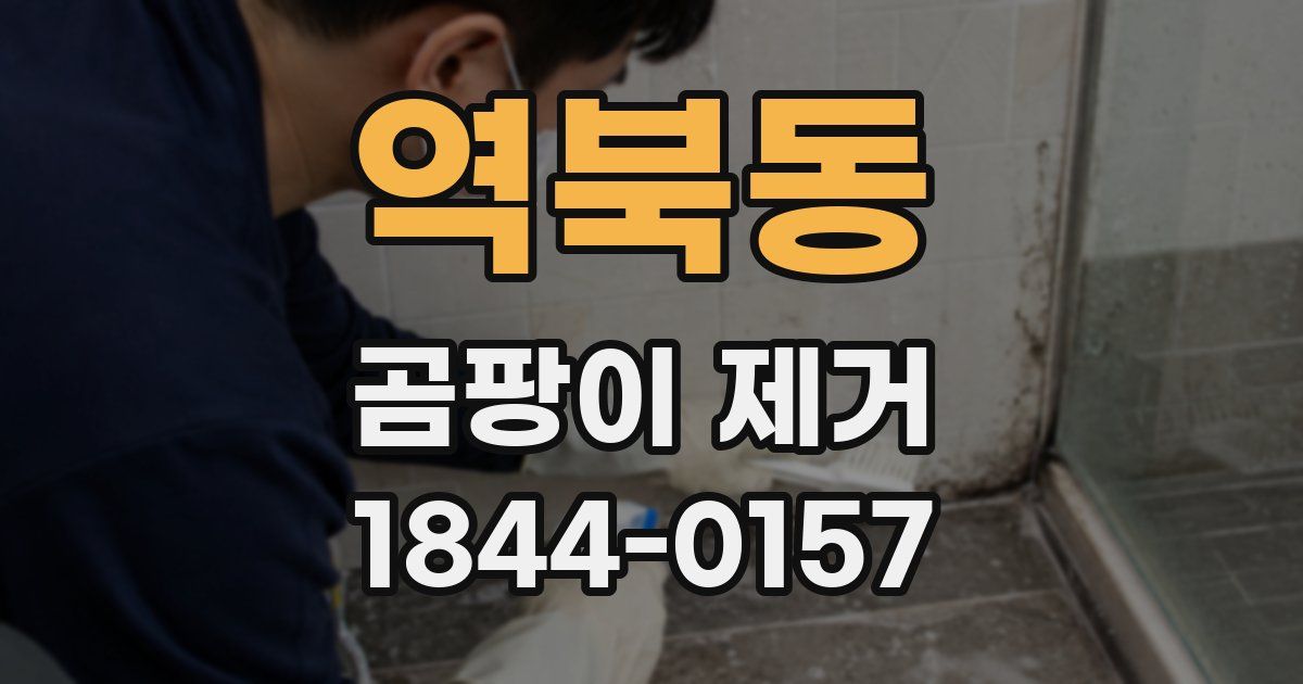 역북동 곰팡이 제거