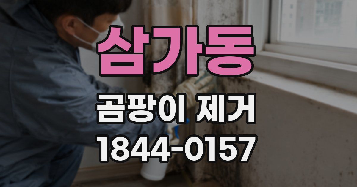 삼가동 곰팡이 제거