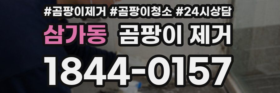 삼가동 곰팡이 제거