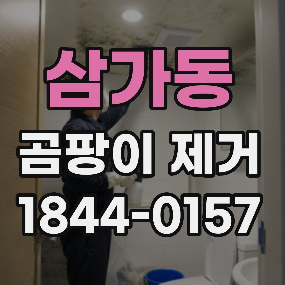 삼가동 곰팡이 제거