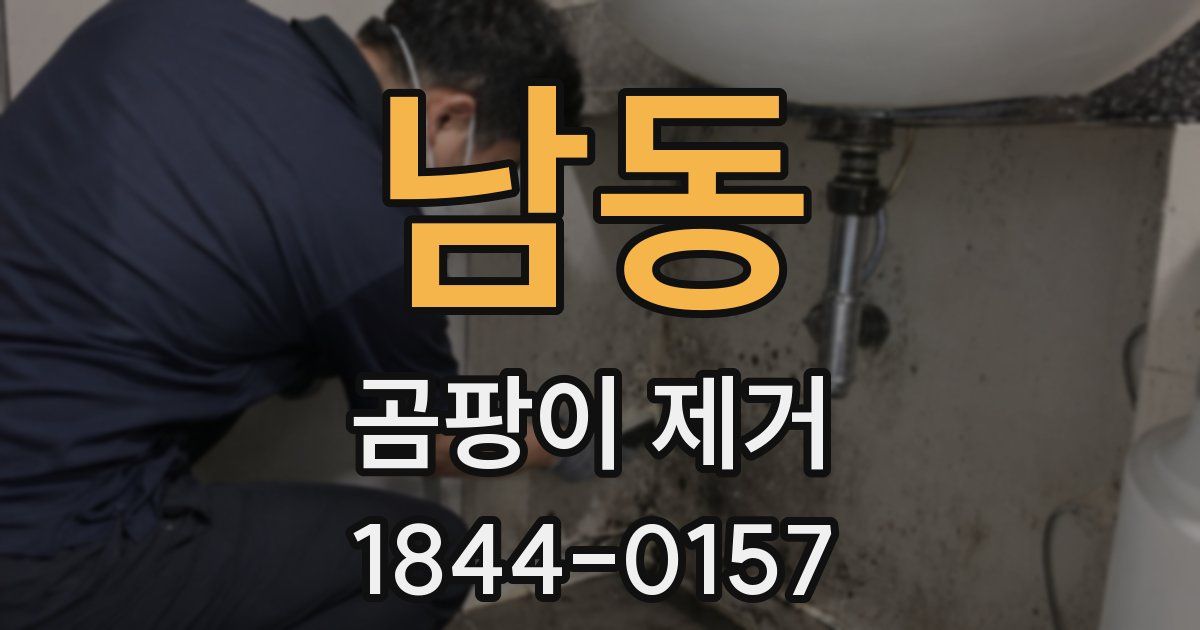 남동 곰팡이 제거