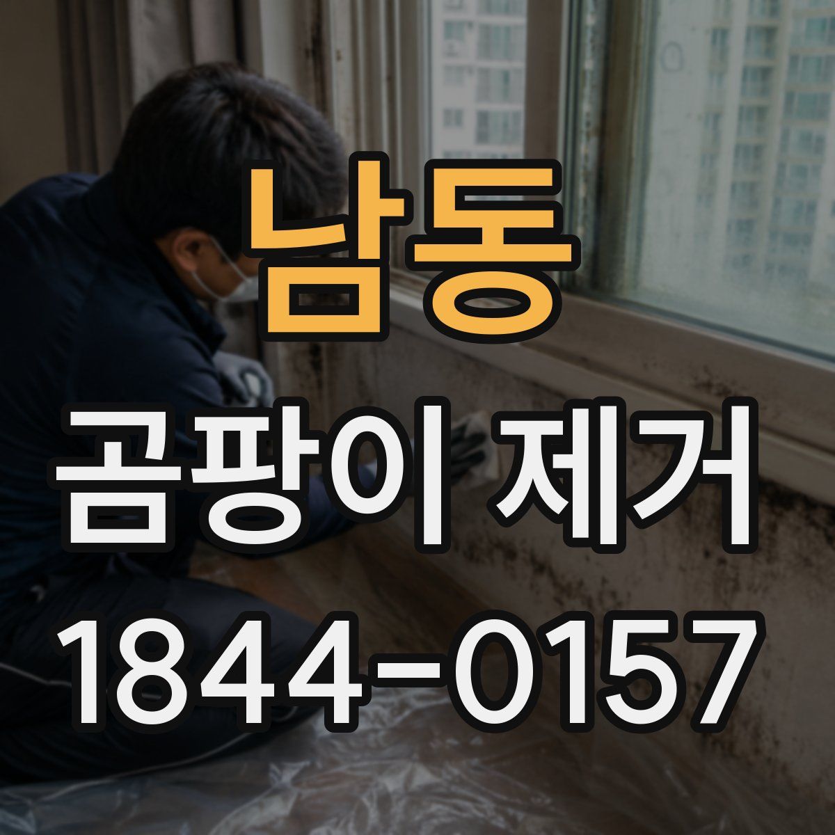 남동 곰팡이 제거