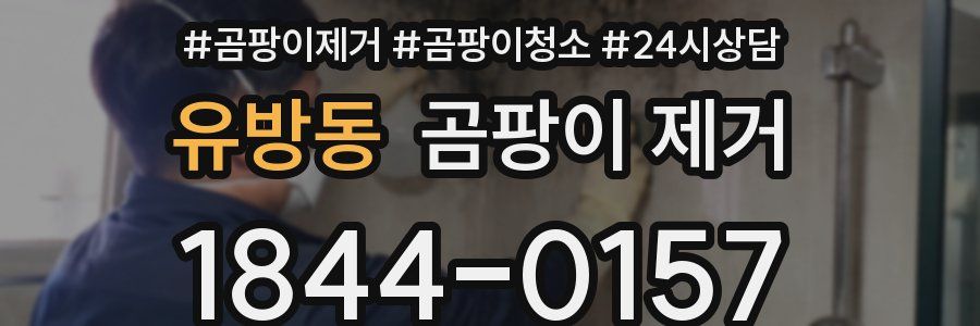 유방동 곰팡이 제거