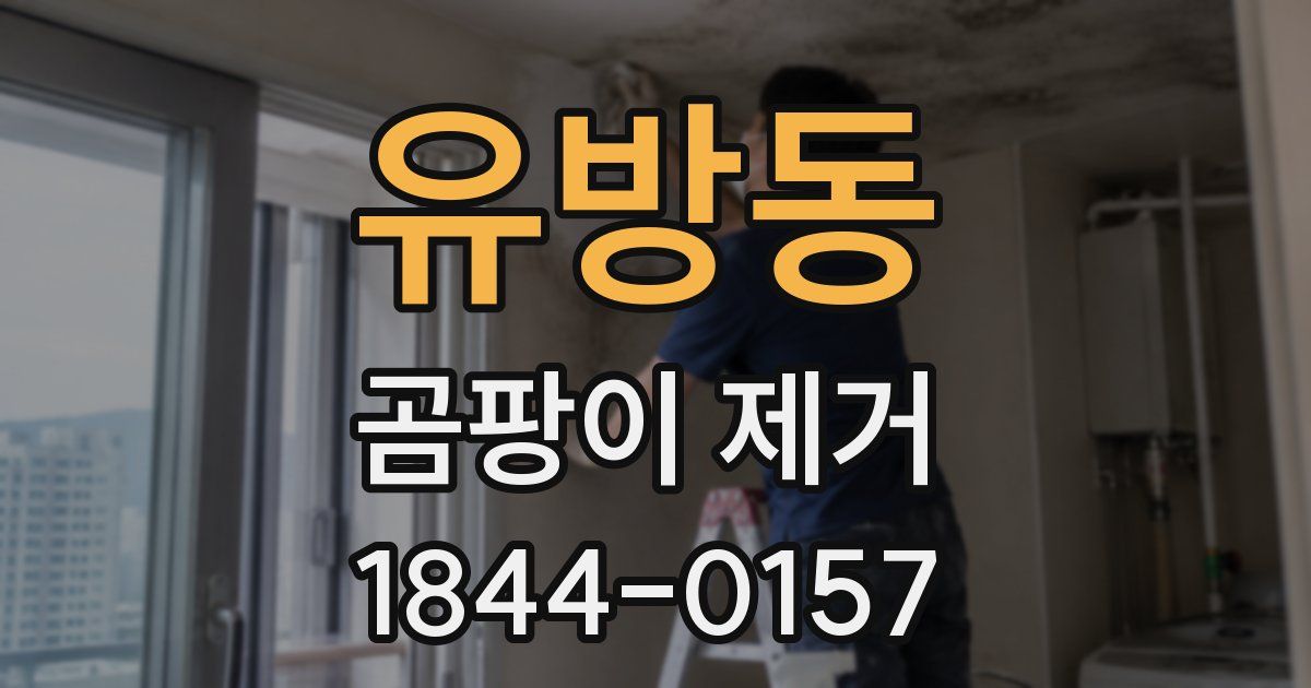 유방동 곰팡이 제거