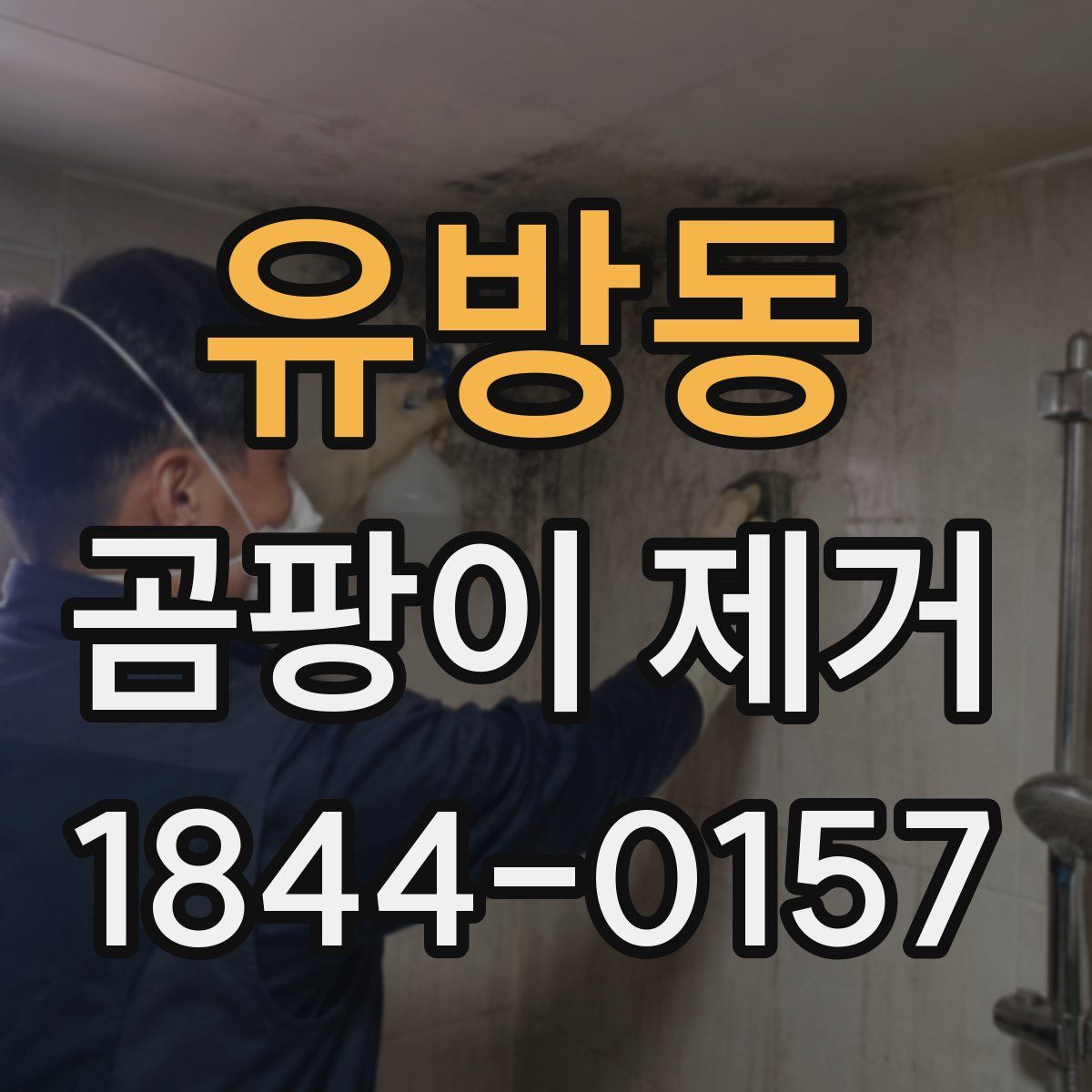 유방동 곰팡이 제거